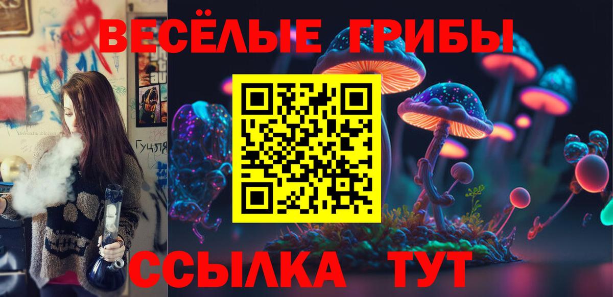 Псилоцибиновые грибы GOLDEN TEACHER  наркошоп  Верхний Уфалей  Вход с VPN  Псилоцибиновые грибы прущие грибы 